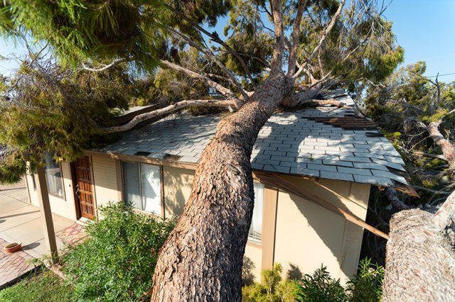 Denver Roofing