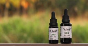 CBD Oil