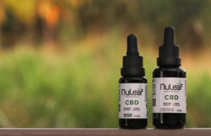 CBD Oil