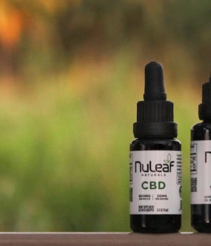 CBD Oil