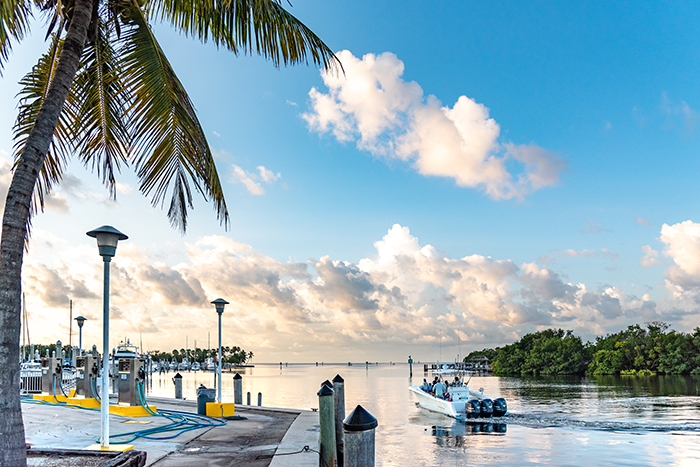 Miami Deep Sea Fishing